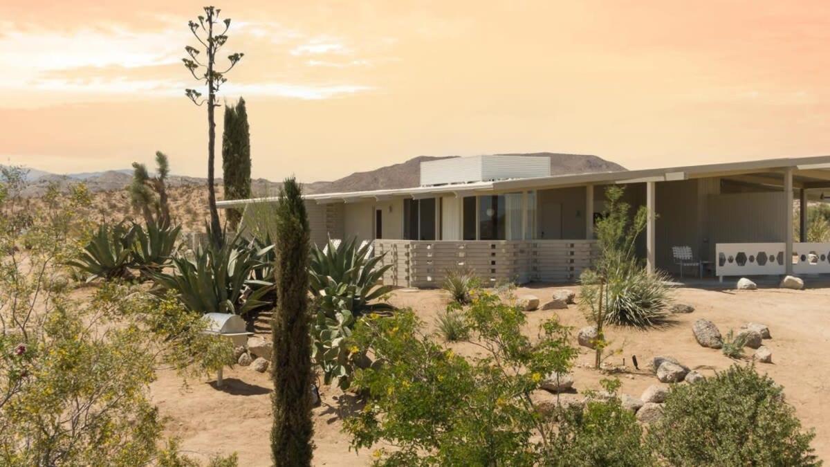 The Bungalows By Homestead Modern Joshua Tree Exterior foto