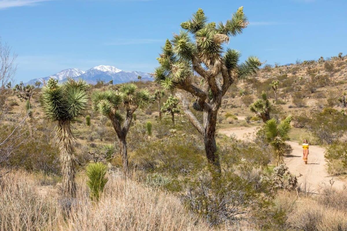 The Bungalows By Homestead Modern Joshua Tree Exterior foto