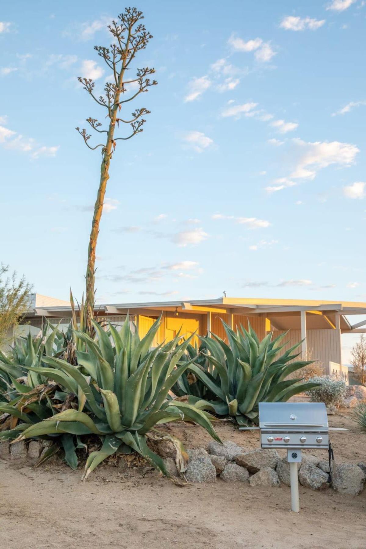 The Bungalows By Homestead Modern Joshua Tree Exterior foto